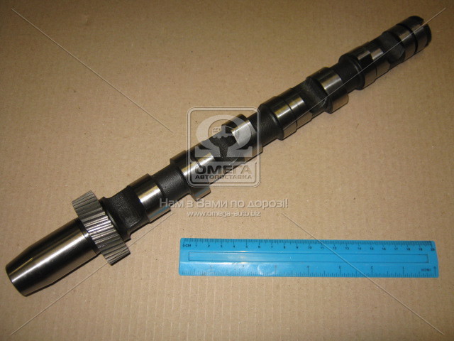 CAM701 AE