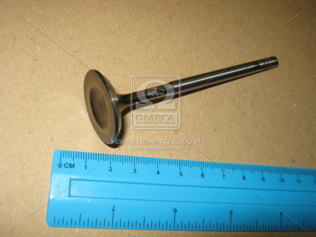 V94647 AE