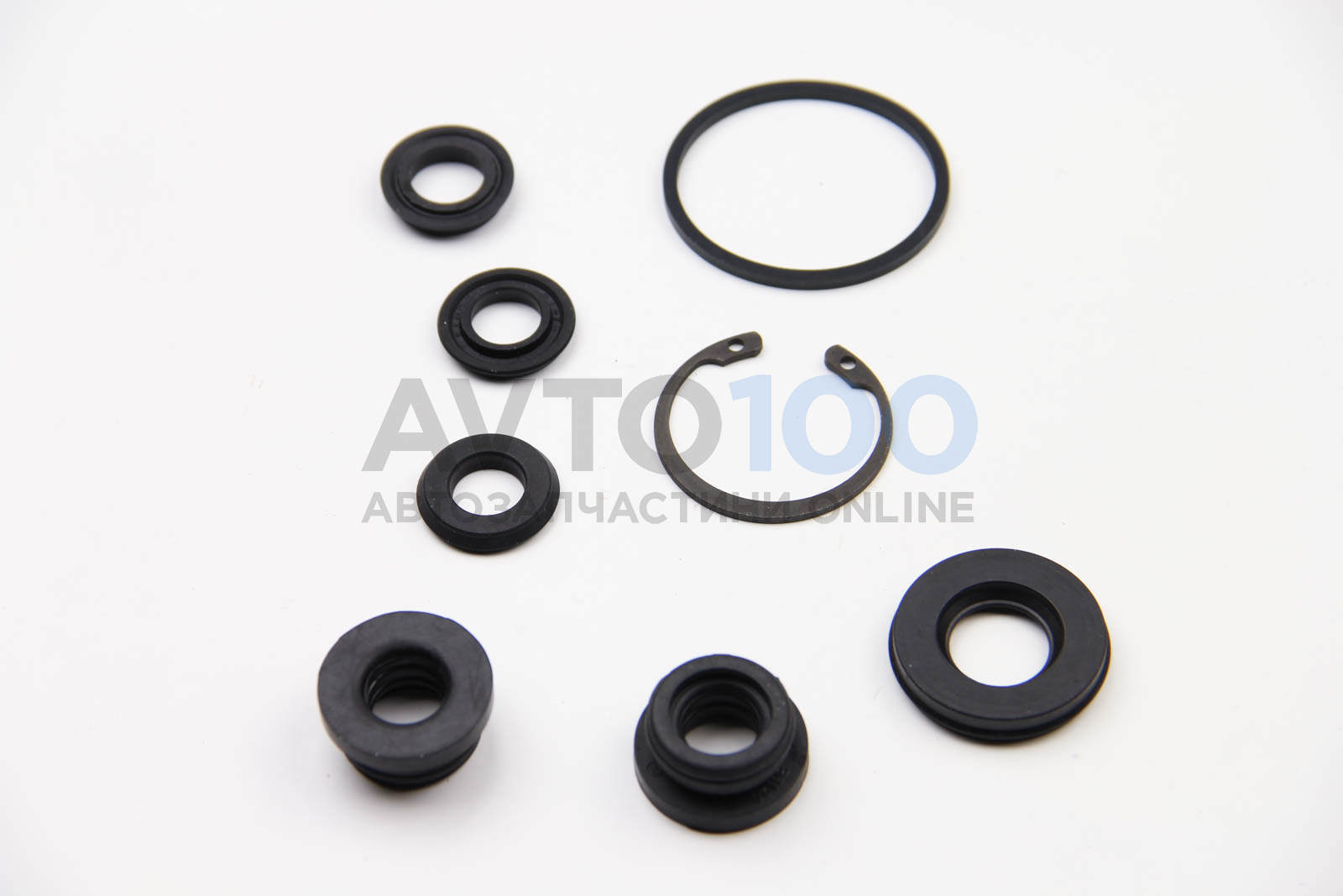 D1310 AUTOFREN SEINSA