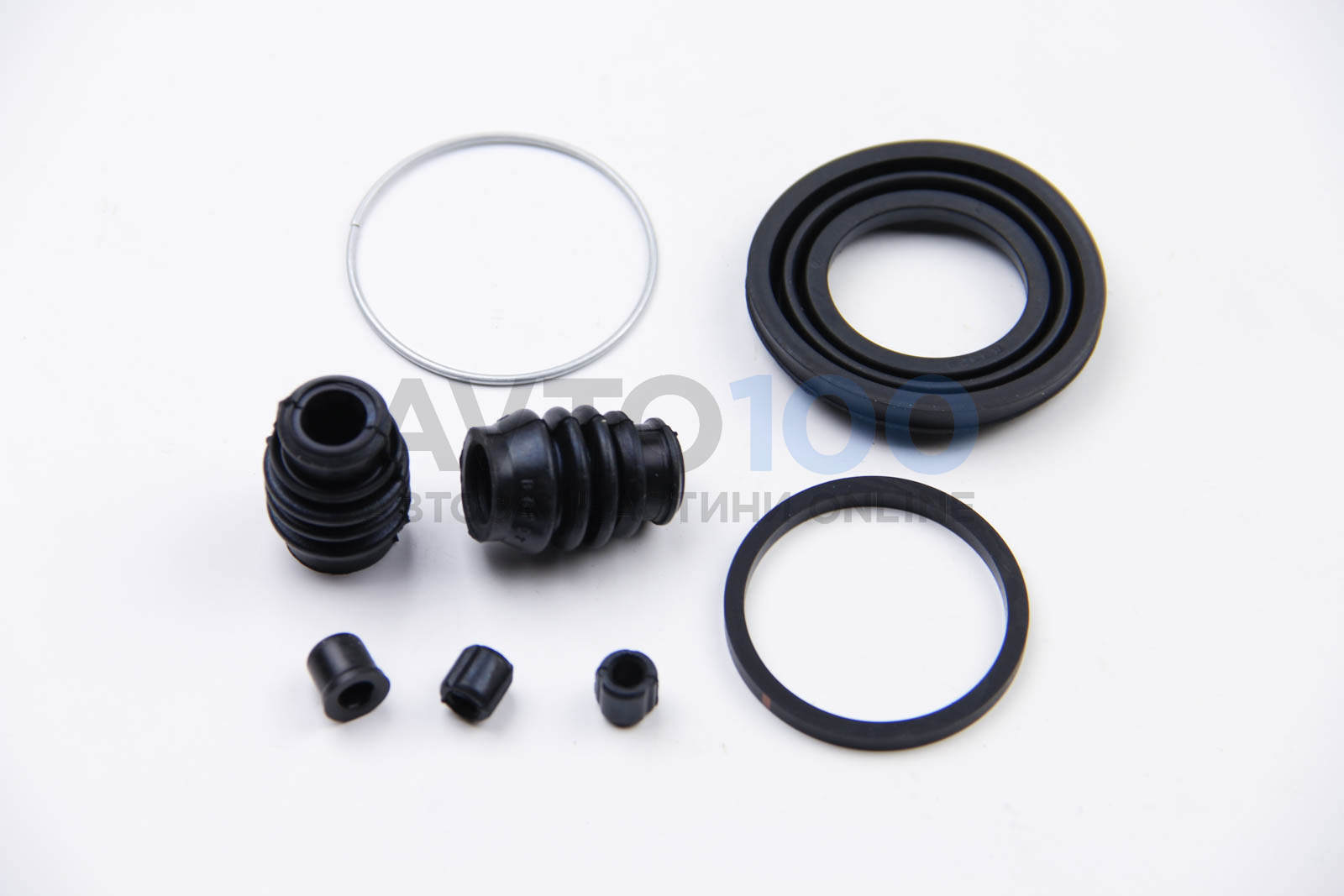 D4831 AUTOFREN SEINSA