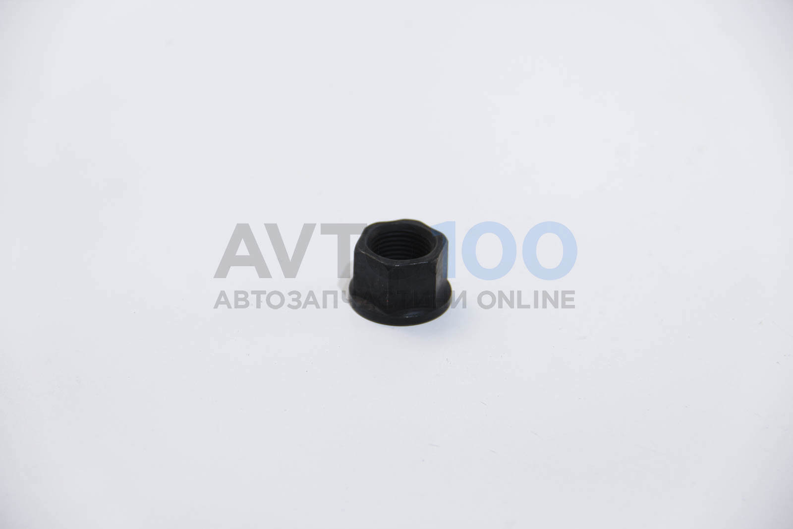 1003169 Autotechteile
