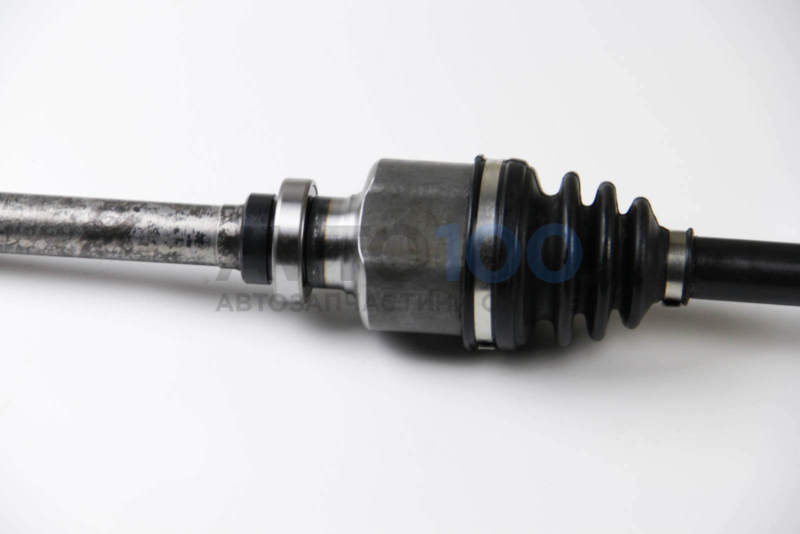DS1408R BGA