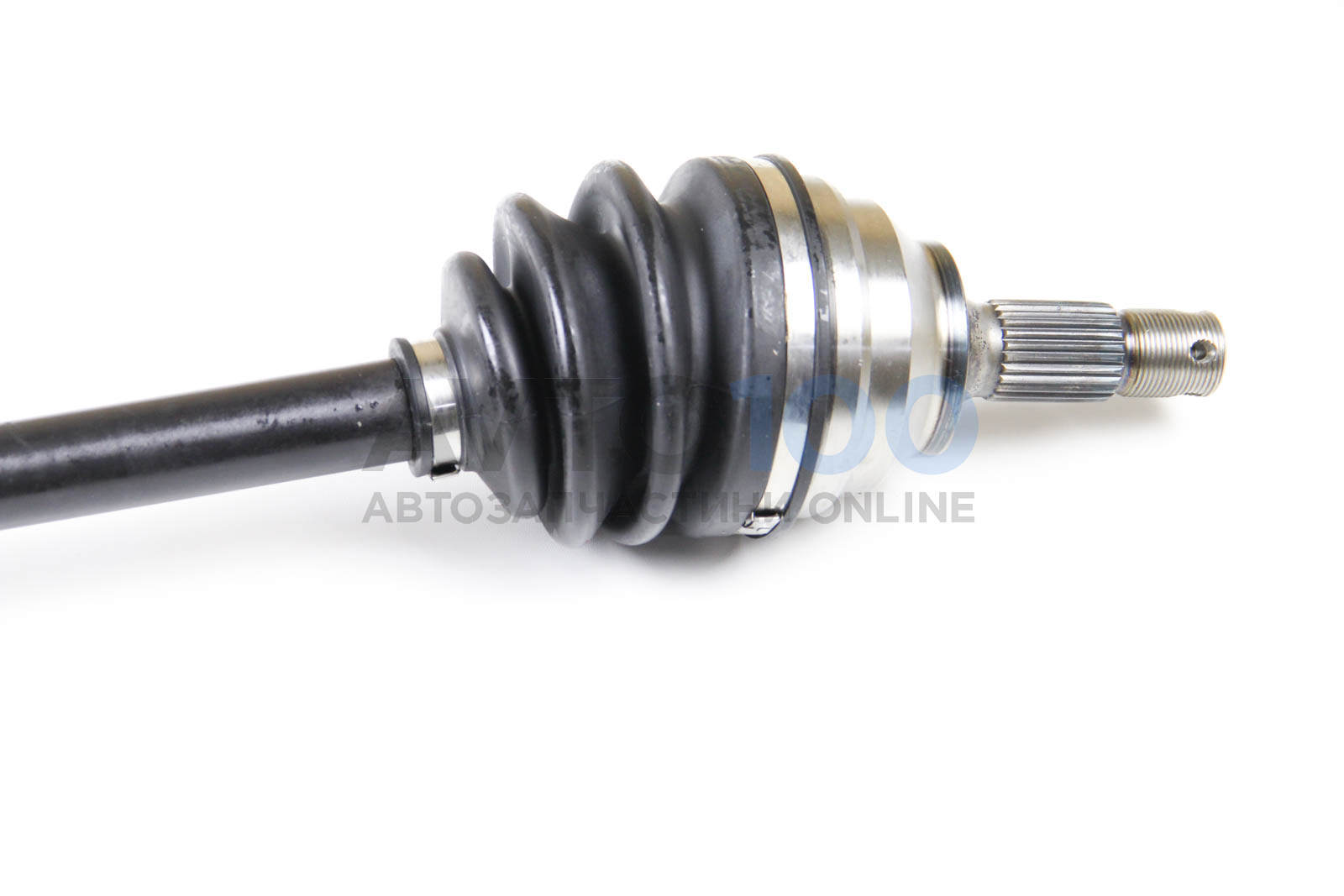 DS1408R BGA
