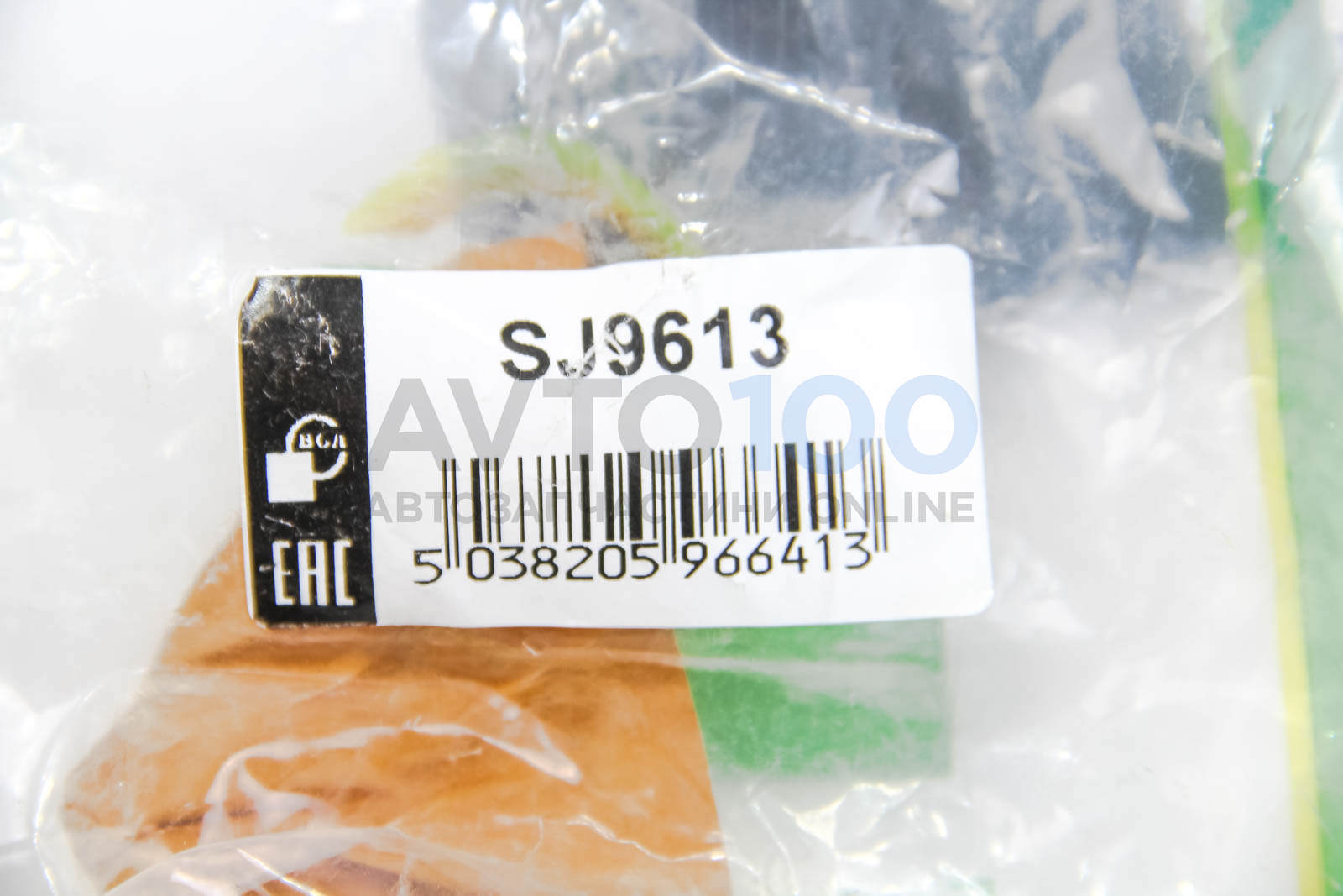 SJ9613 BGA