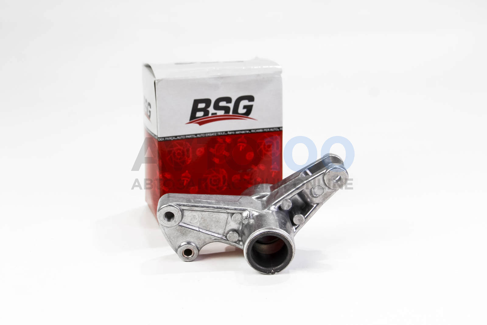 BSG60615006 BSG