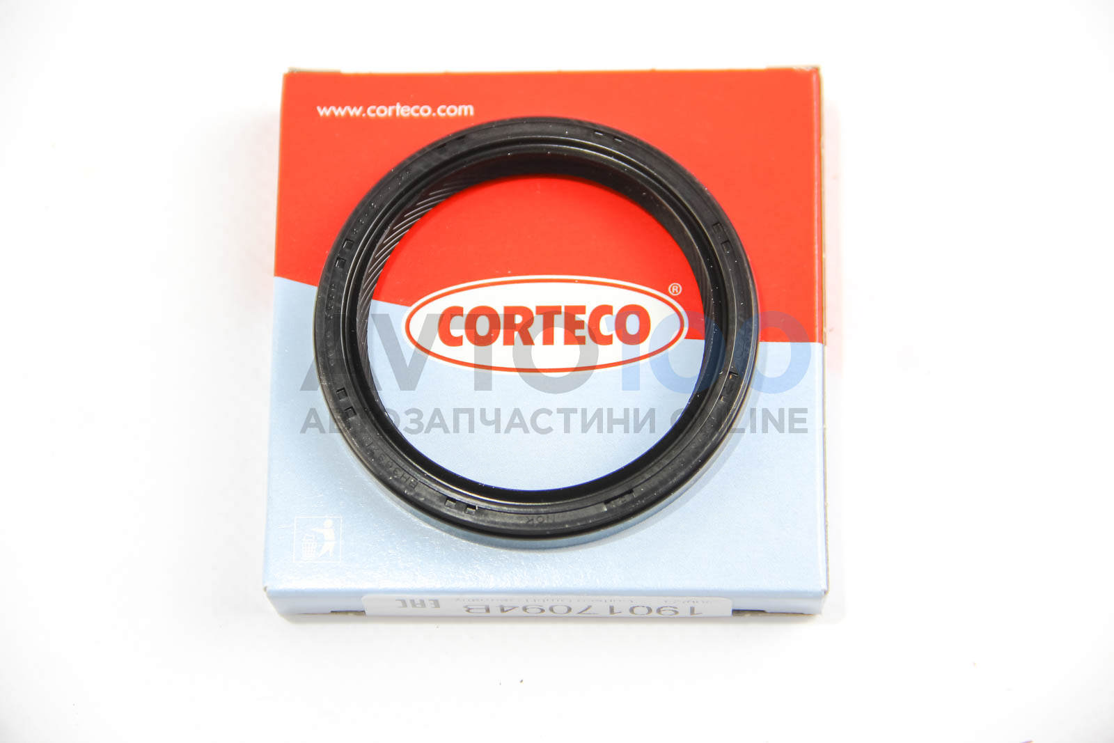 19017094B CORTECO