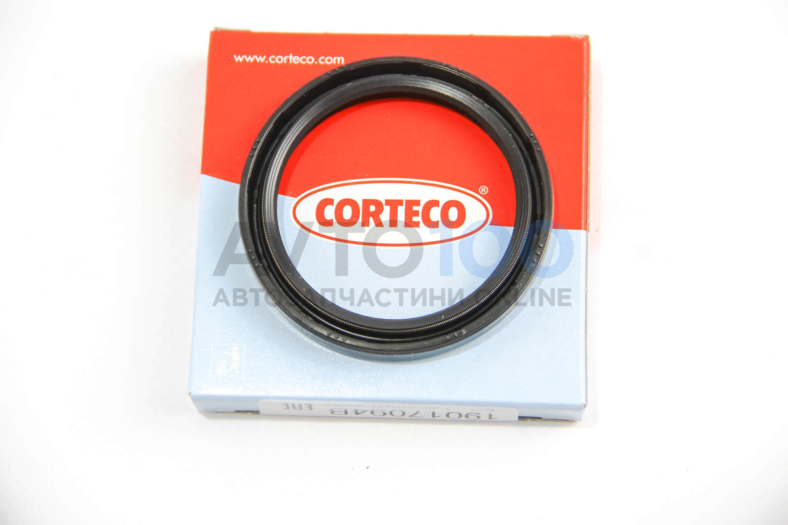 19017094B CORTECO