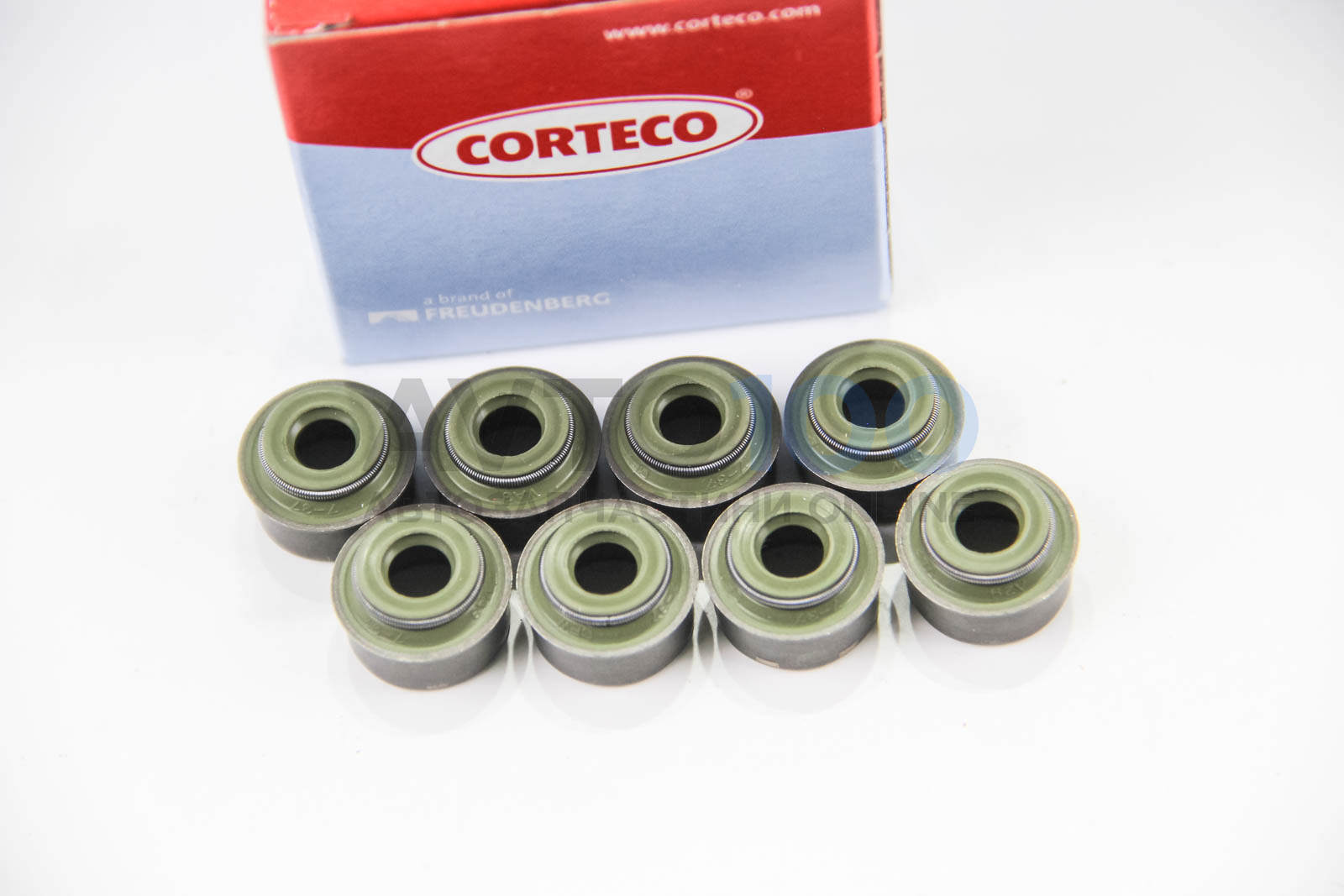 19019857 CORTECO