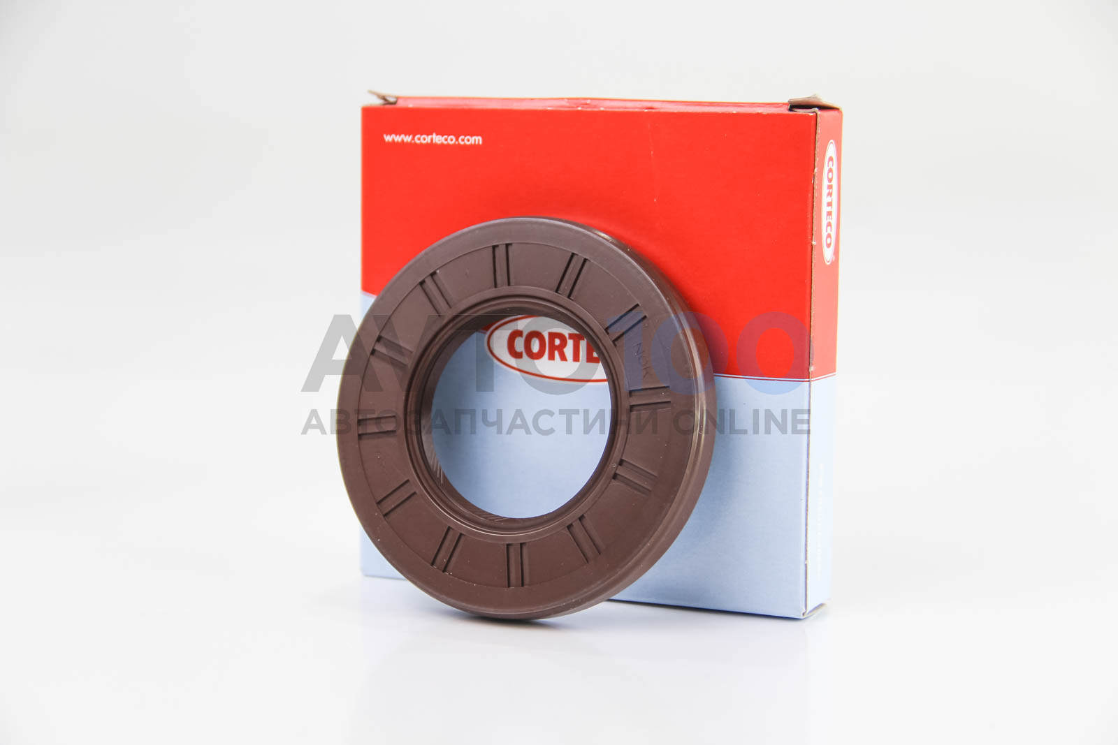 19034067B CORTECO