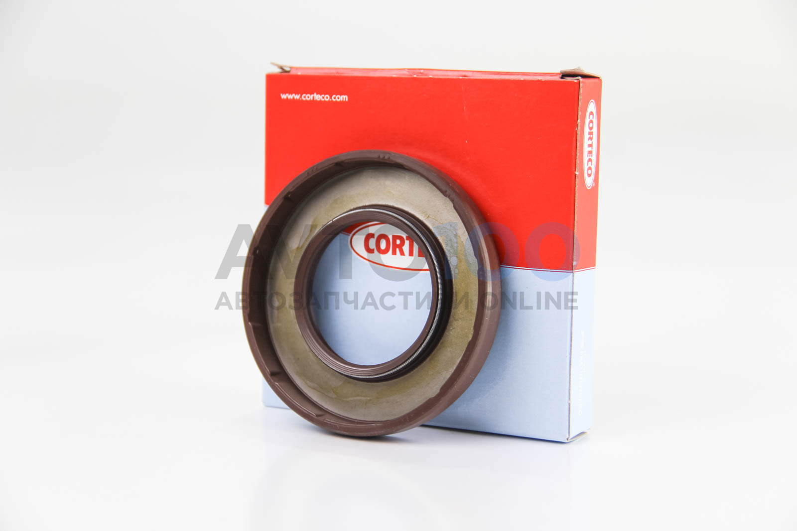 19034067B CORTECO