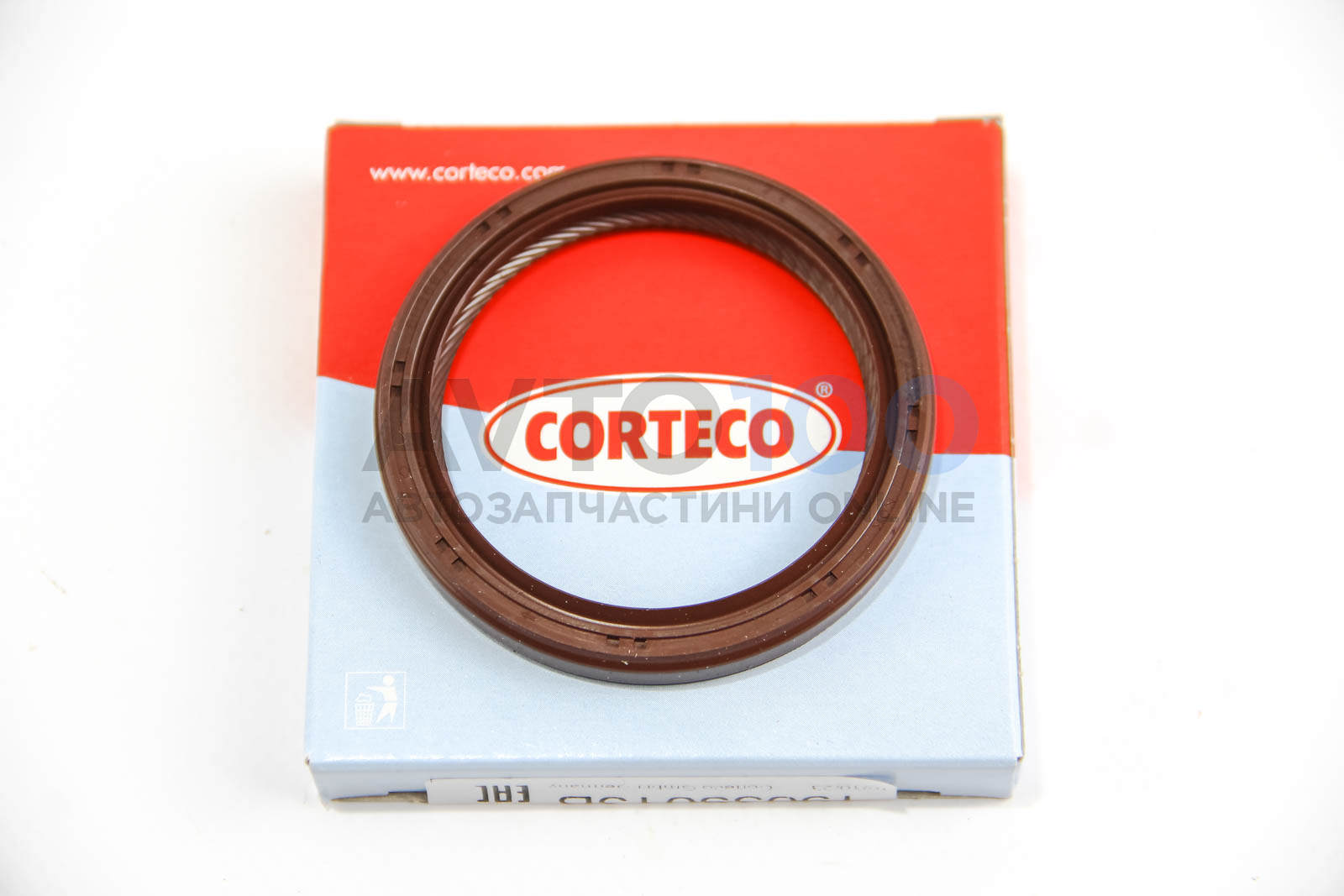 19035013B CORTECO