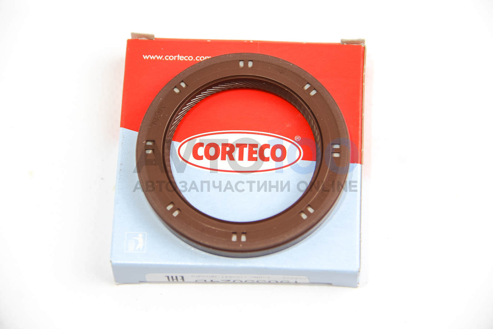 19035024B CORTECO