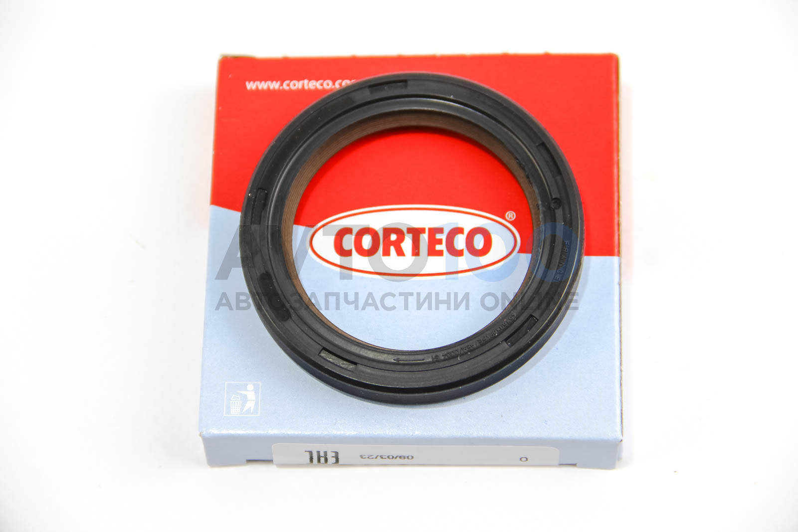 19036597B CORTECO