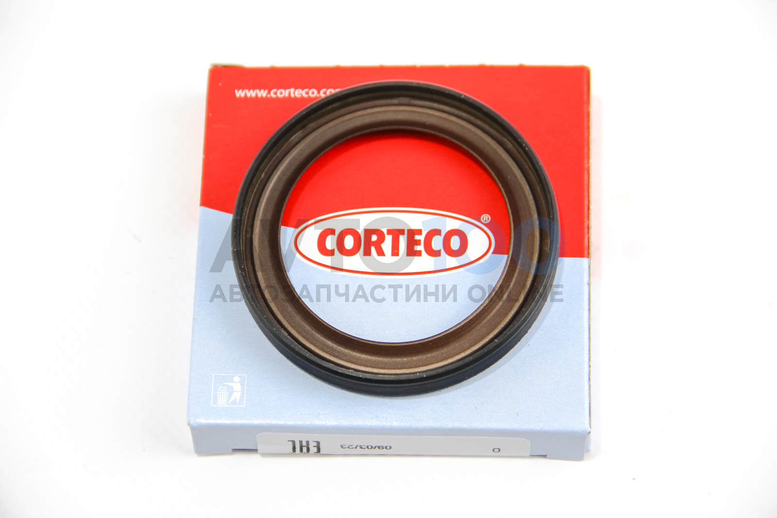 19036597B CORTECO
