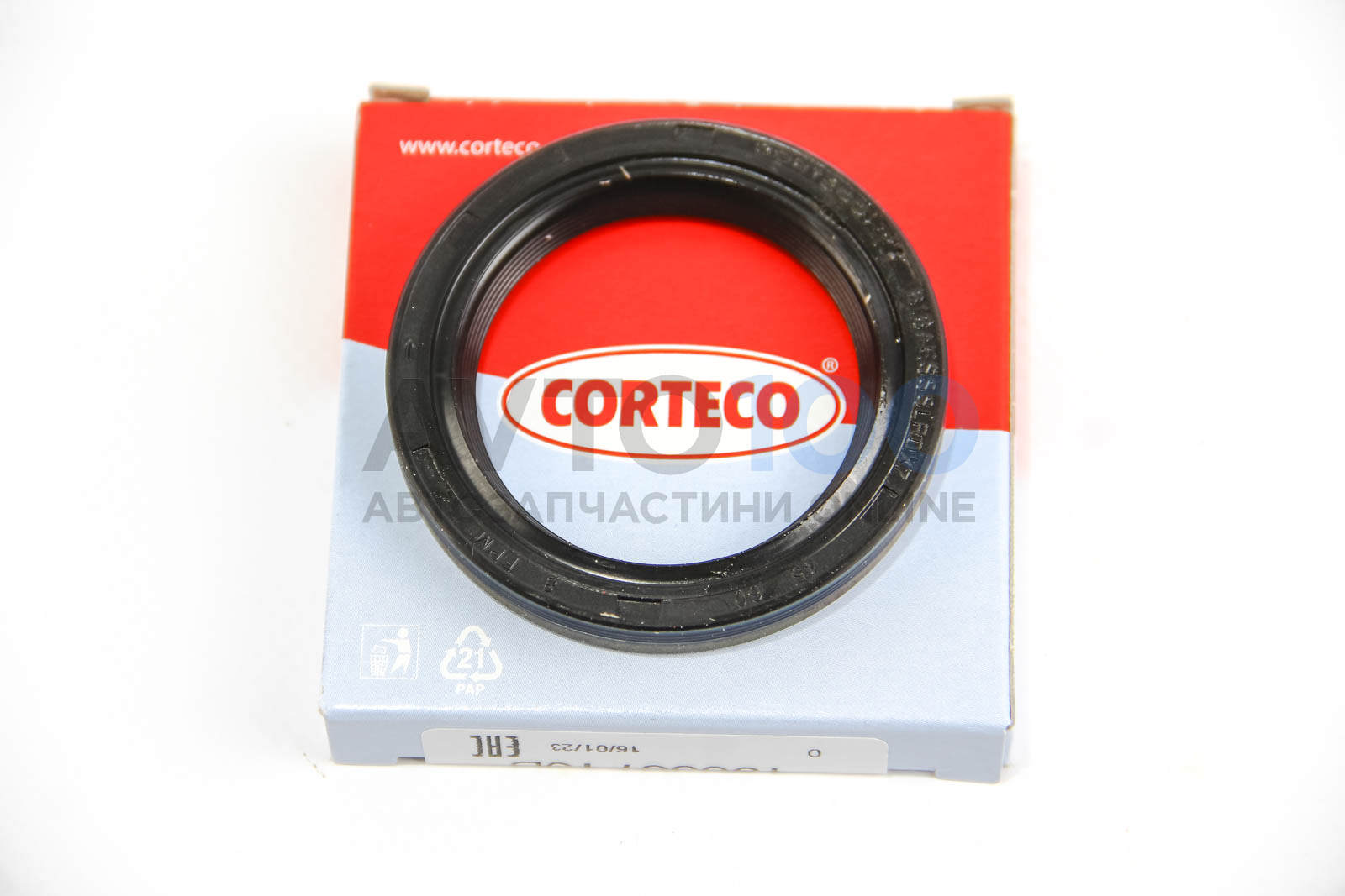 19036715B CORTECO