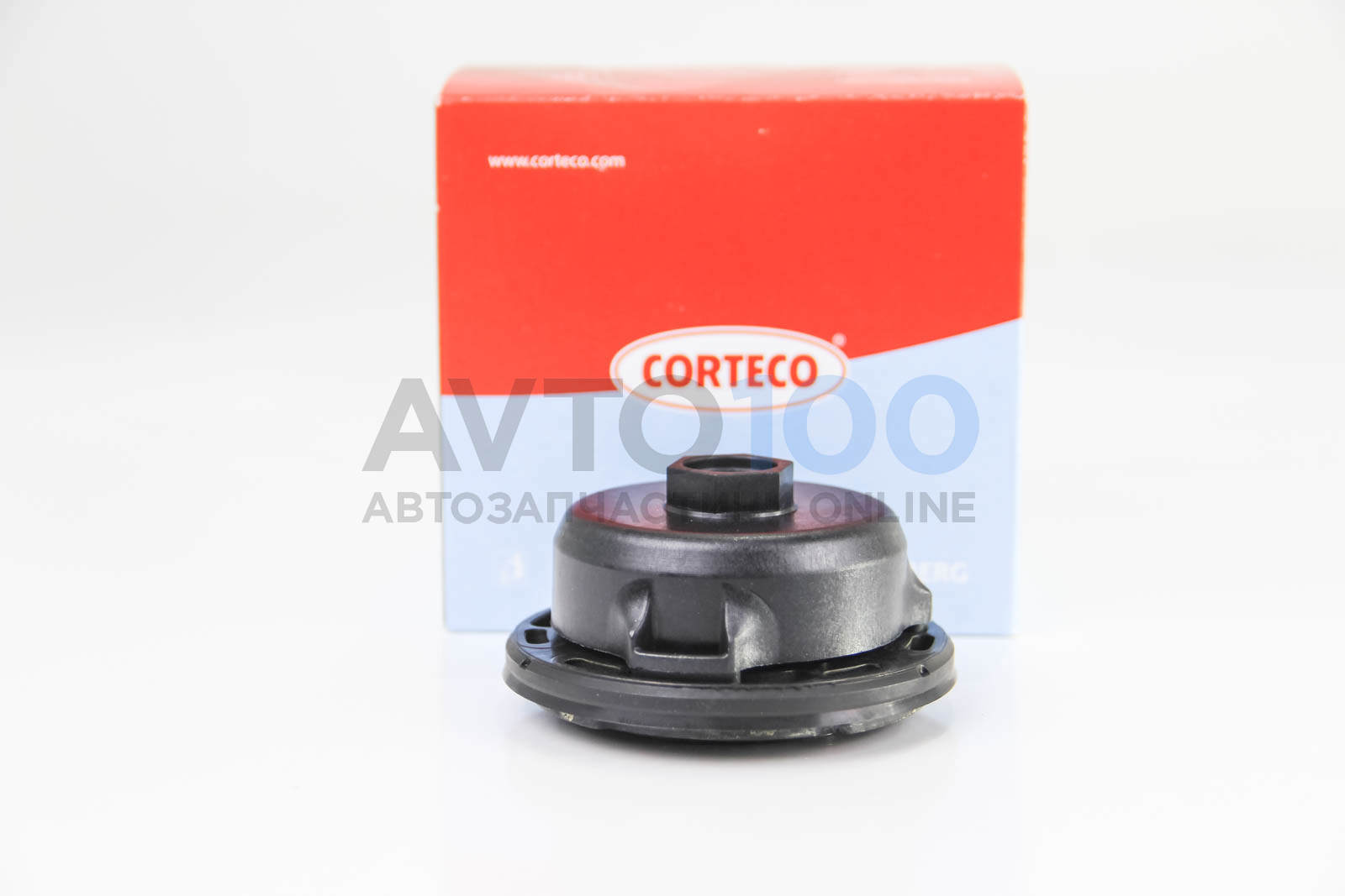 19036731B CORTECO