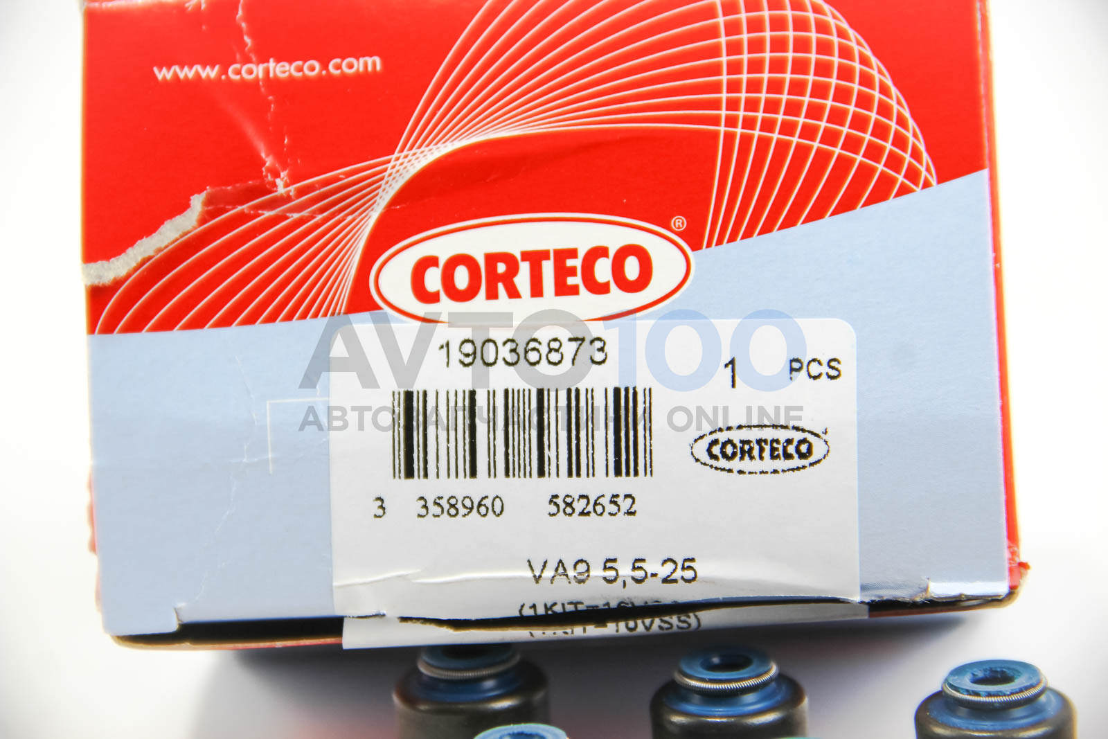 19036873 CORTECO