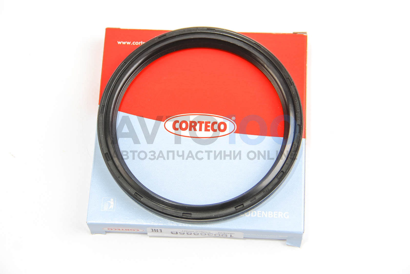 19036885B CORTECO