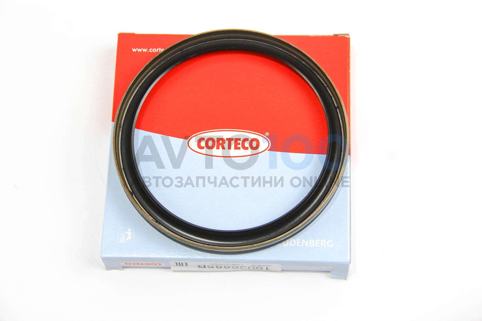 19036885B CORTECO