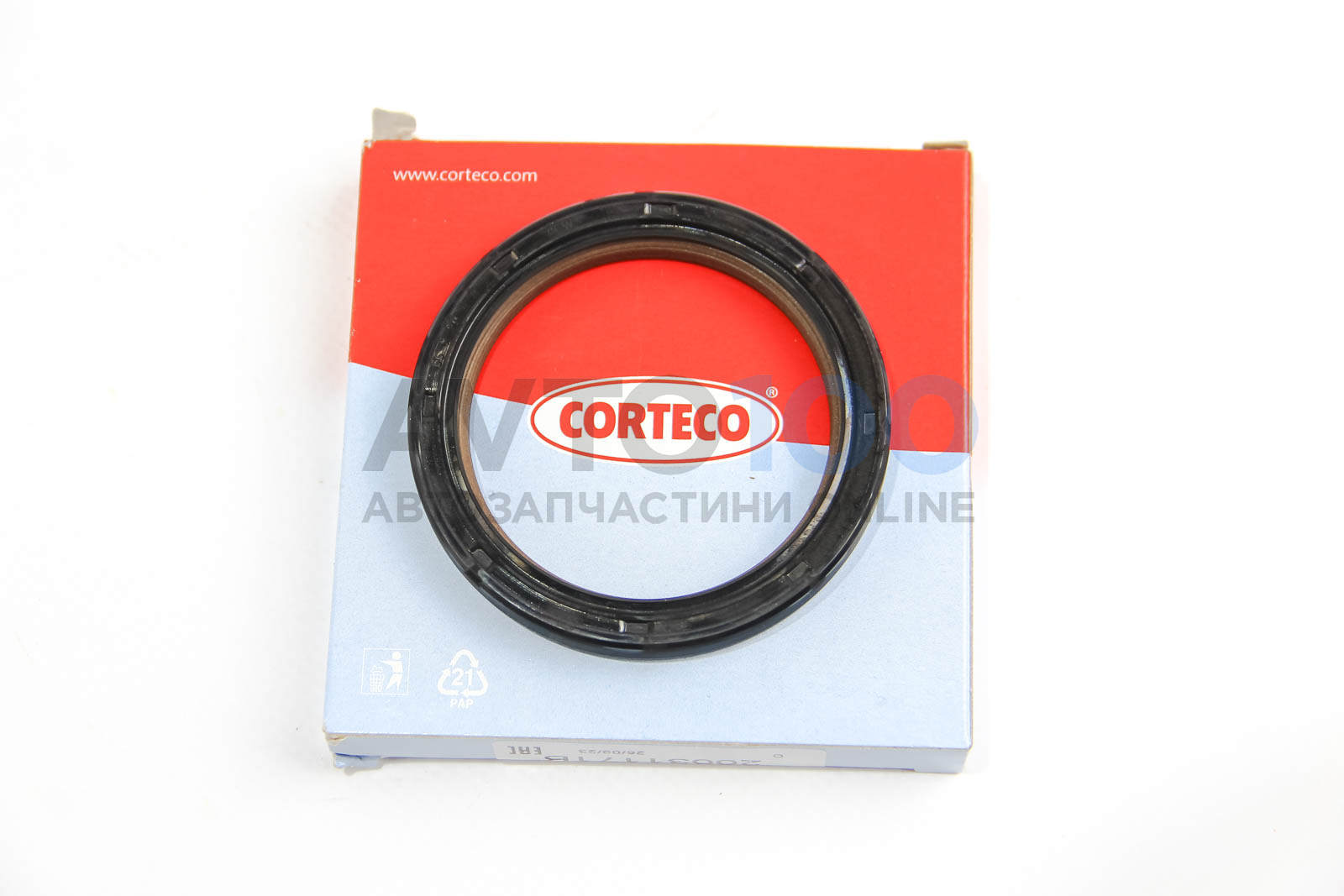 20031171B CORTECO