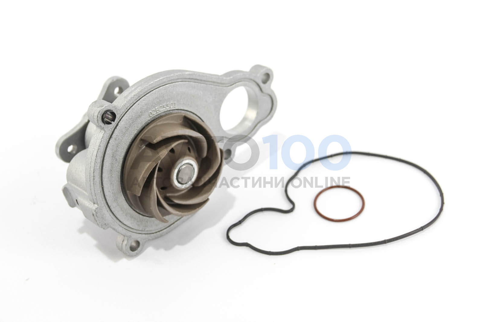 B255 DOLZ