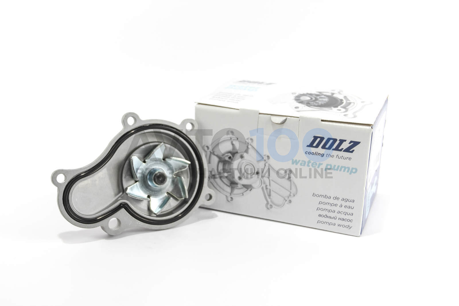 C141 DOLZ