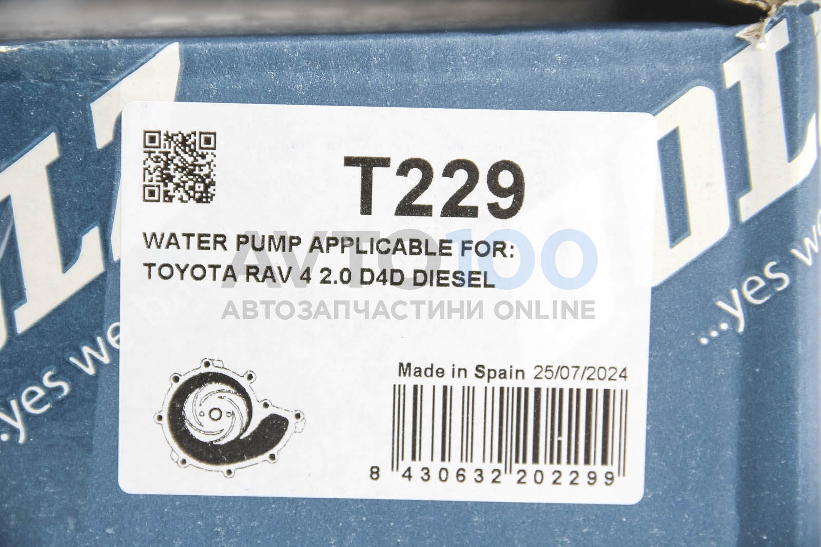 T229 DOLZ