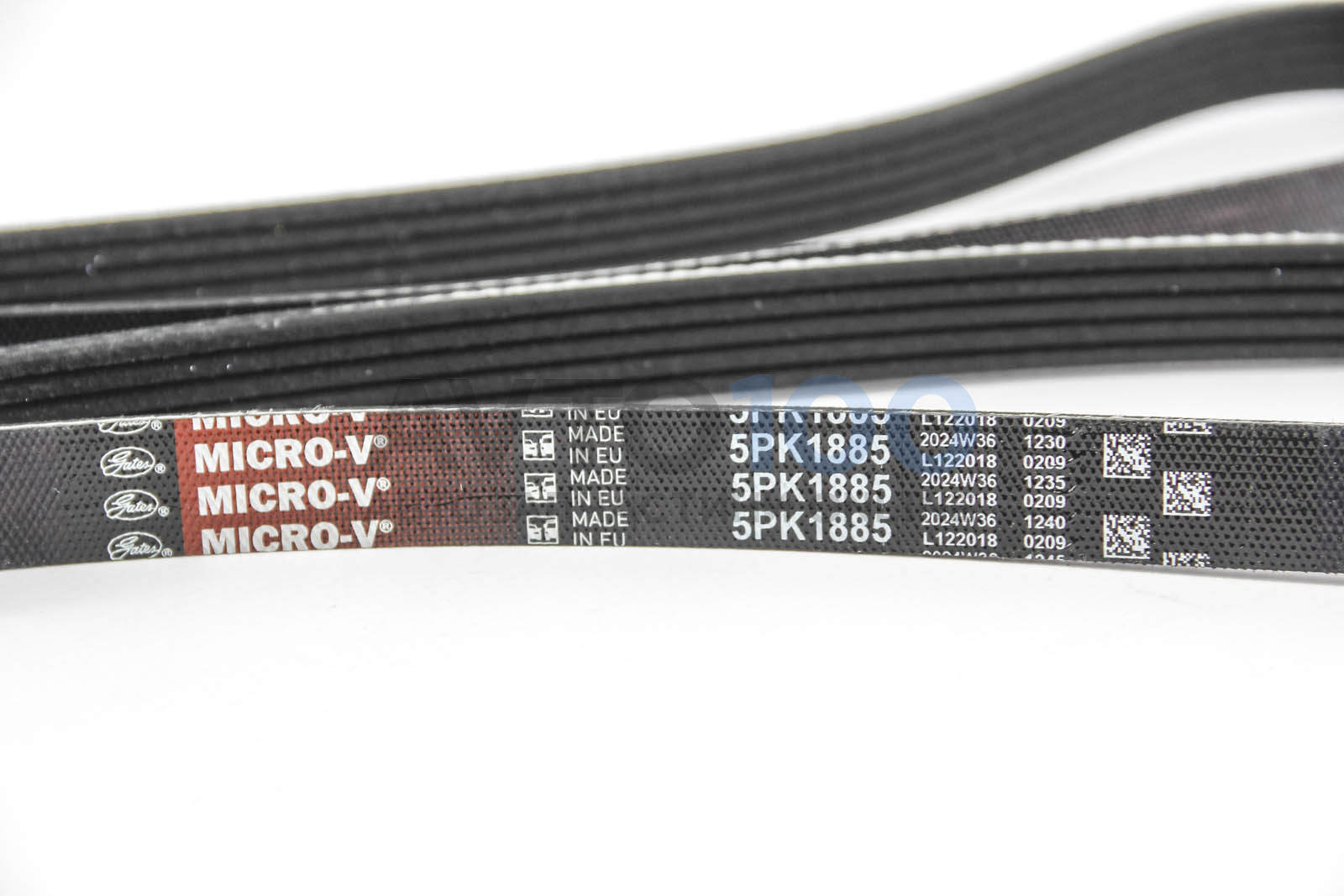 5PK1885 GATES