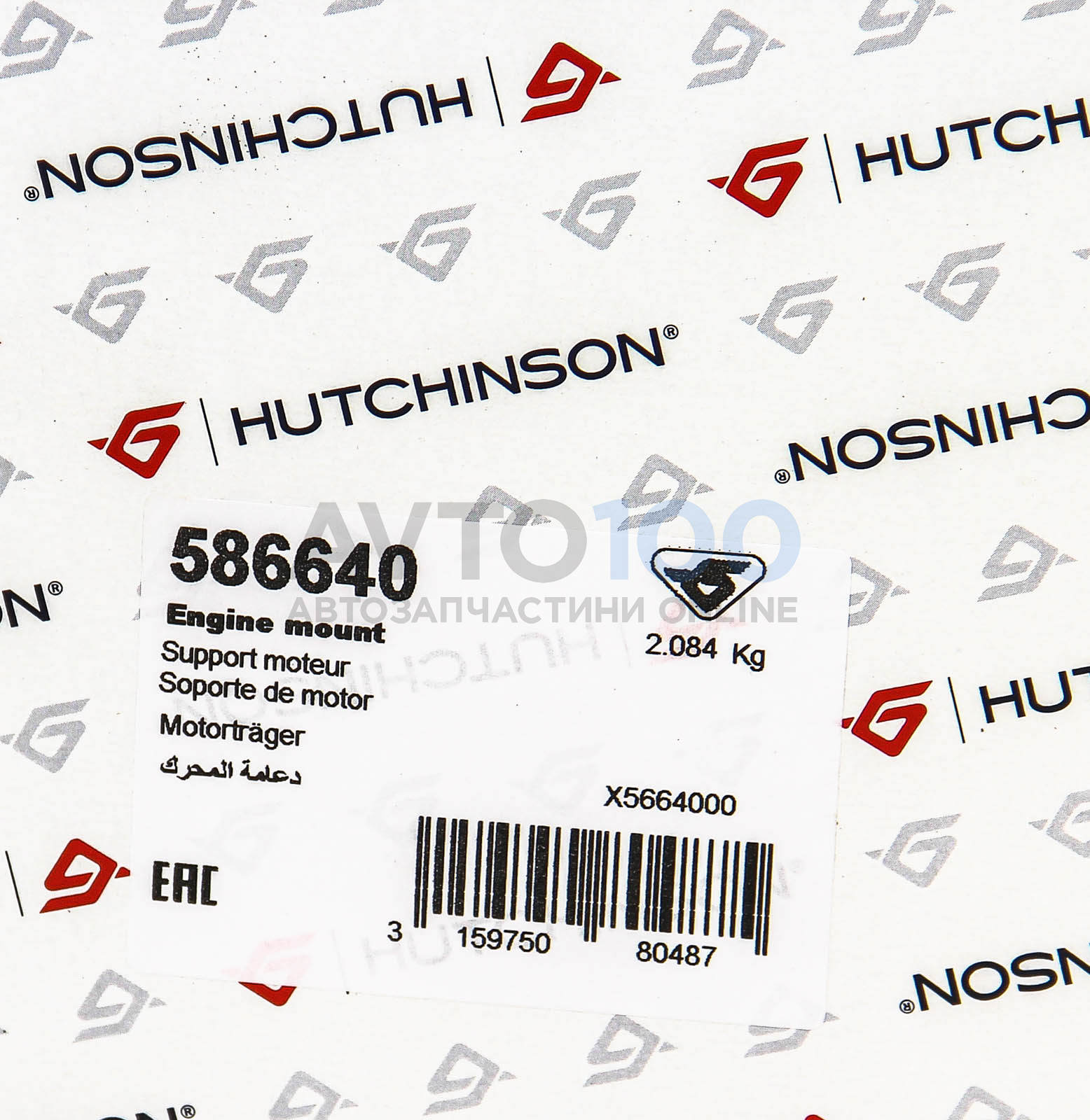 586640 HUTCHINSON