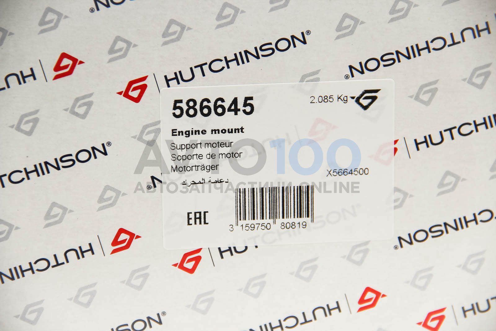 586645 HUTCHINSON