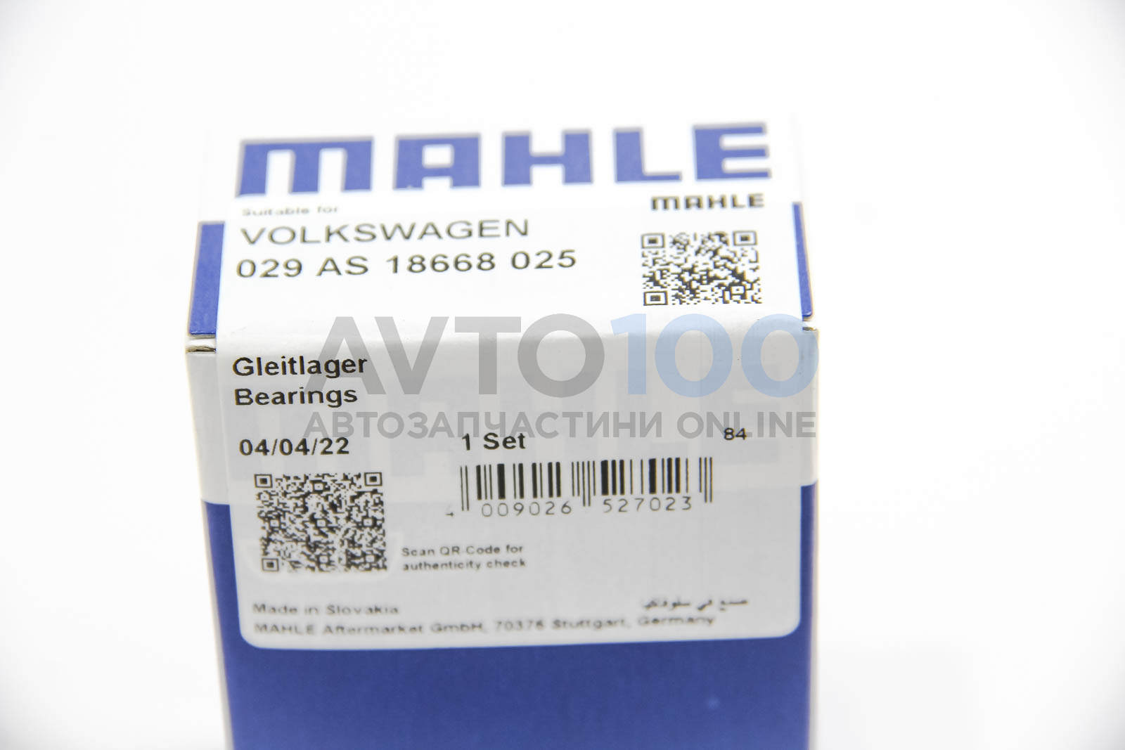 029AS18668025 MAHLE