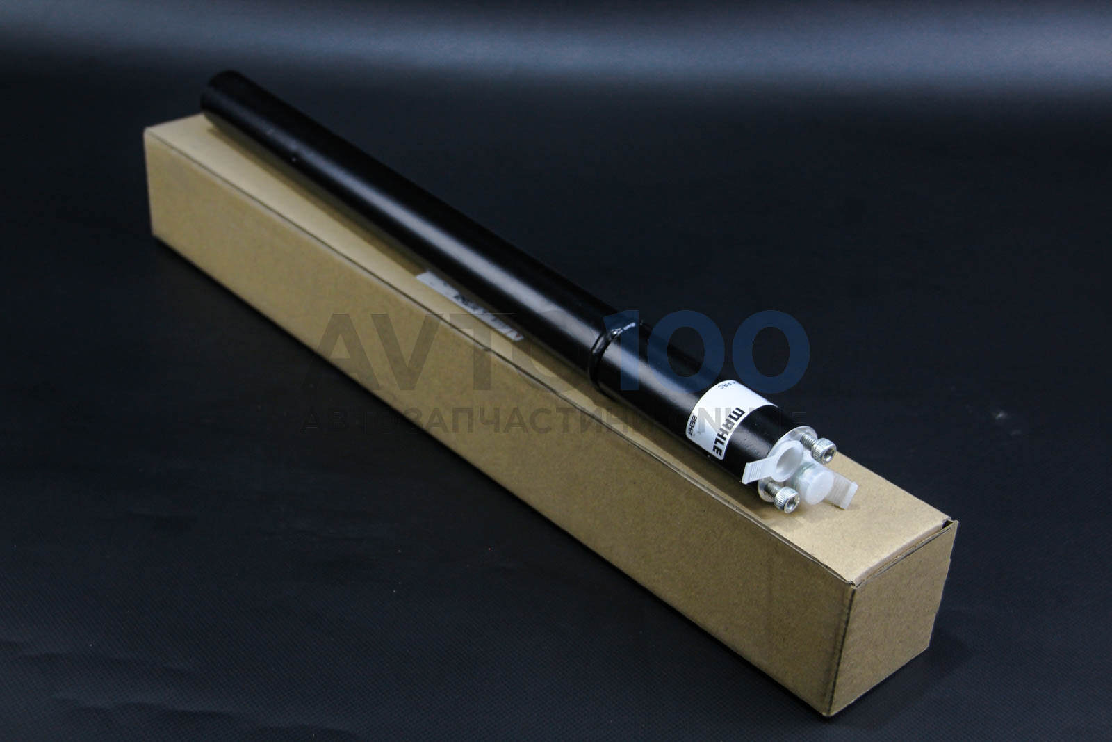 AD244001S MAHLE