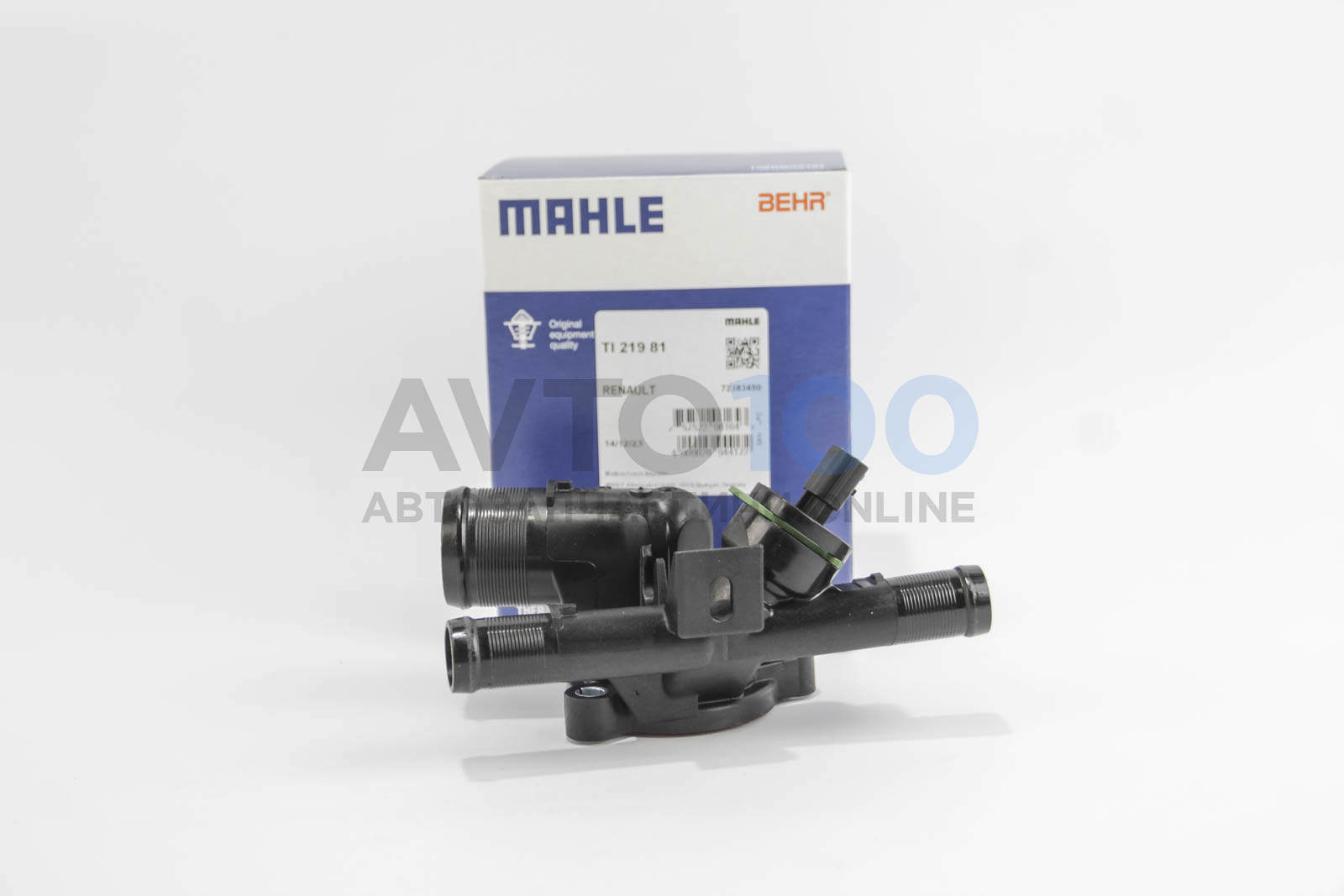 TI21981 MAHLE