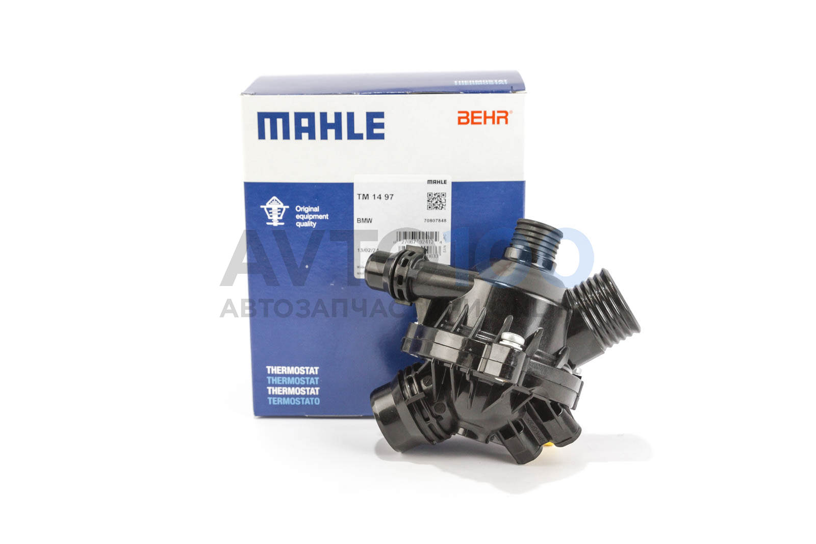 TM1497 MAHLE
