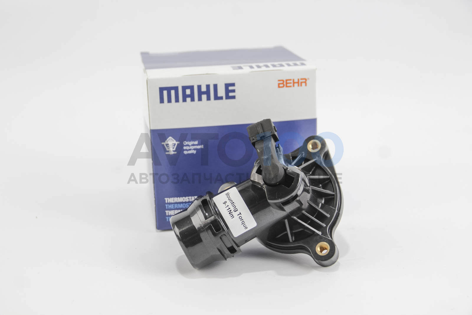TM18105 MAHLE