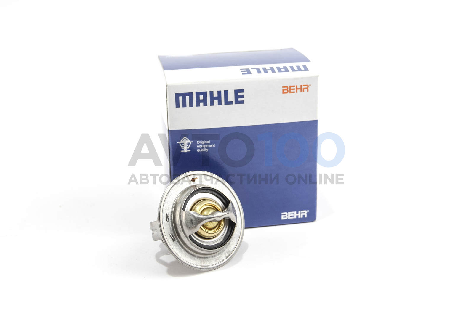 TX17989D MAHLE