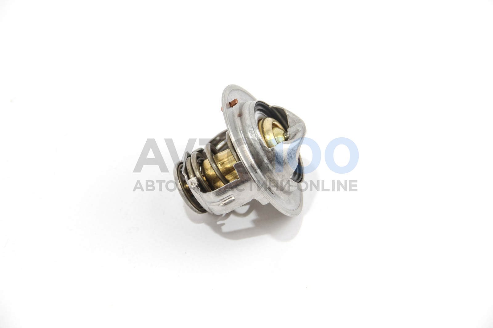 TX17989D MAHLE
