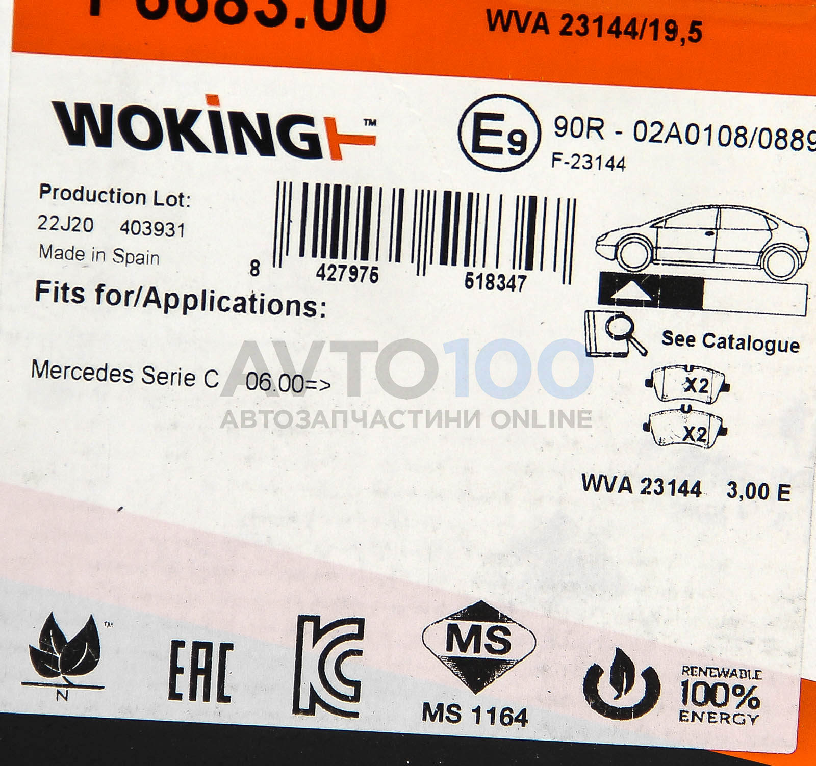 P668300 WOKING