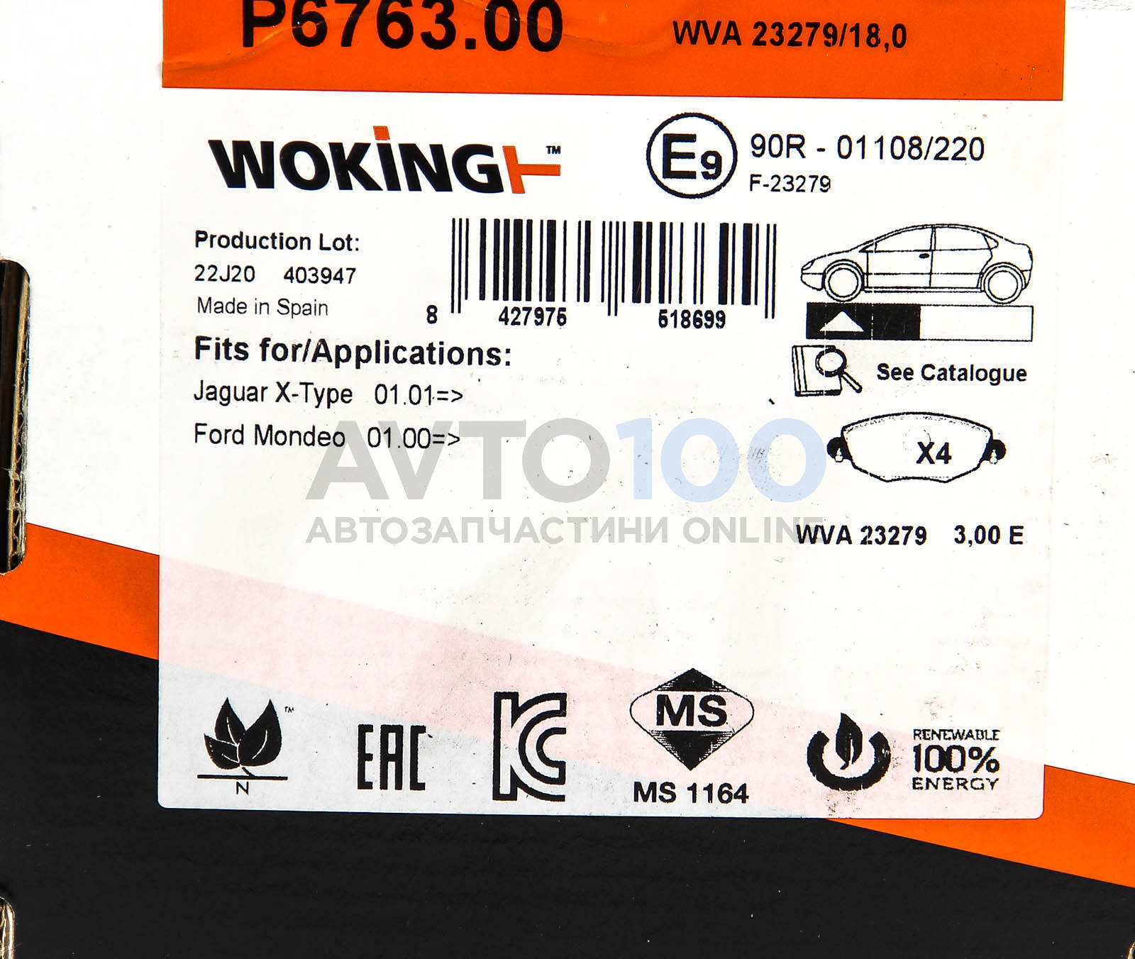 P676300 WOKING