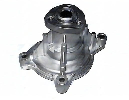 A219 DOLZ