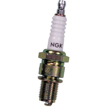 7795 NGK