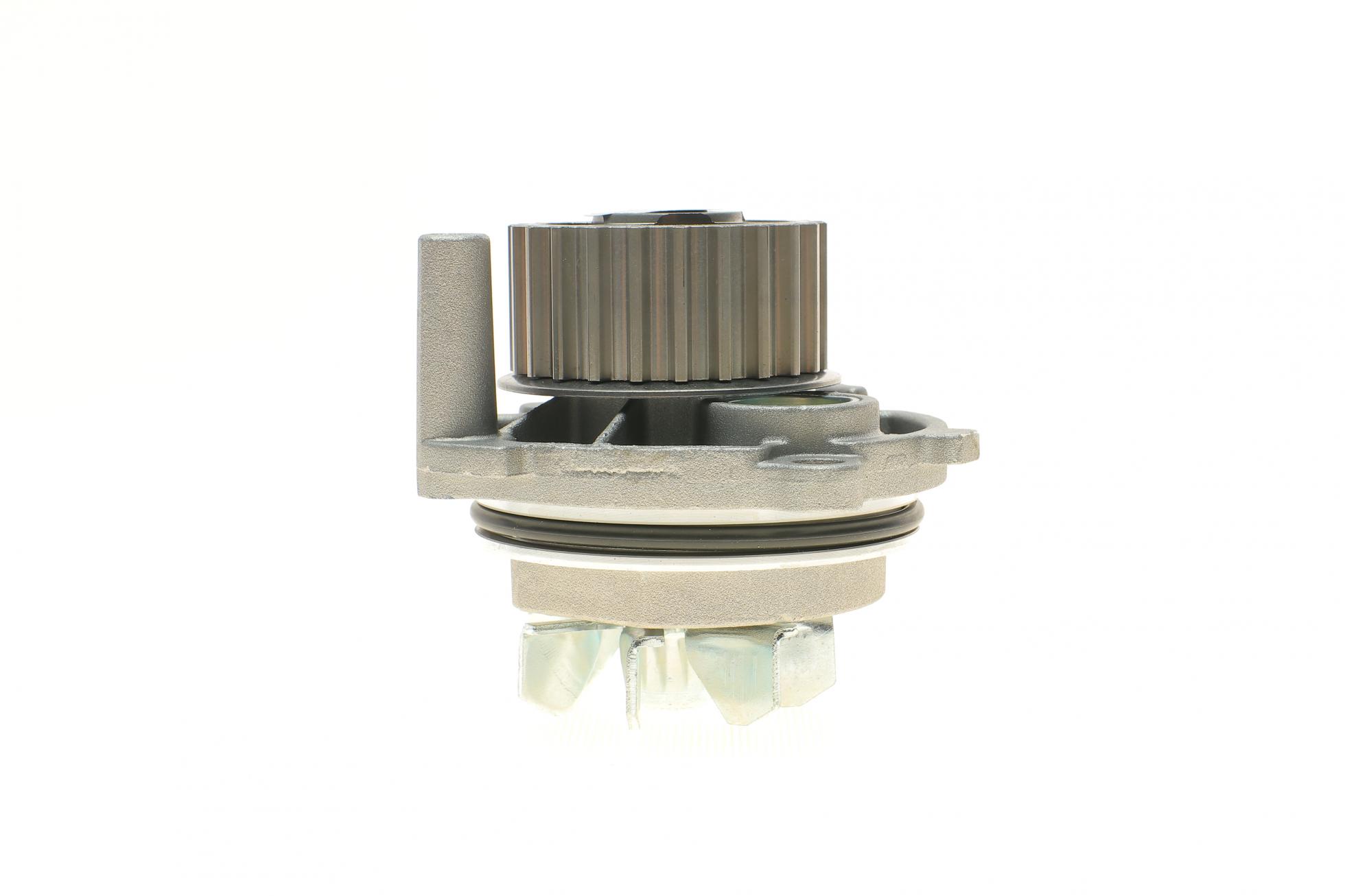 WP0256 LPR