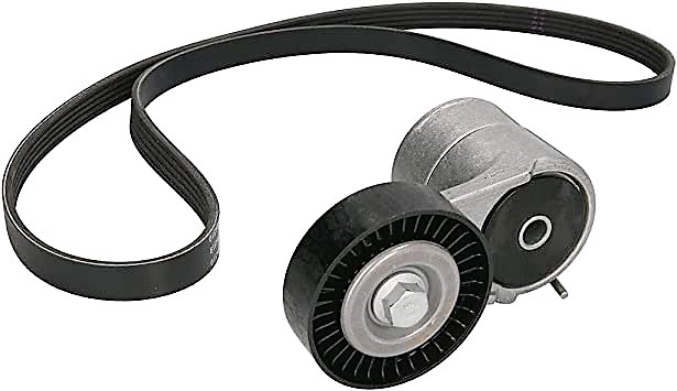529000810 INA