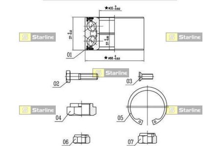 LO00906 STARLINE