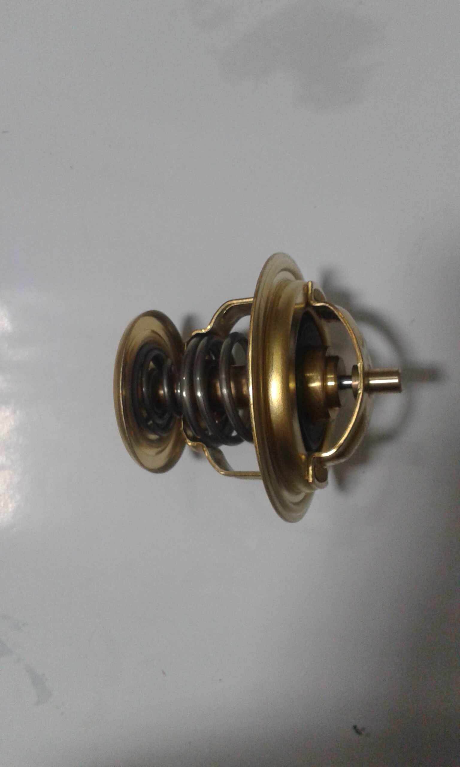425387D WAHLER