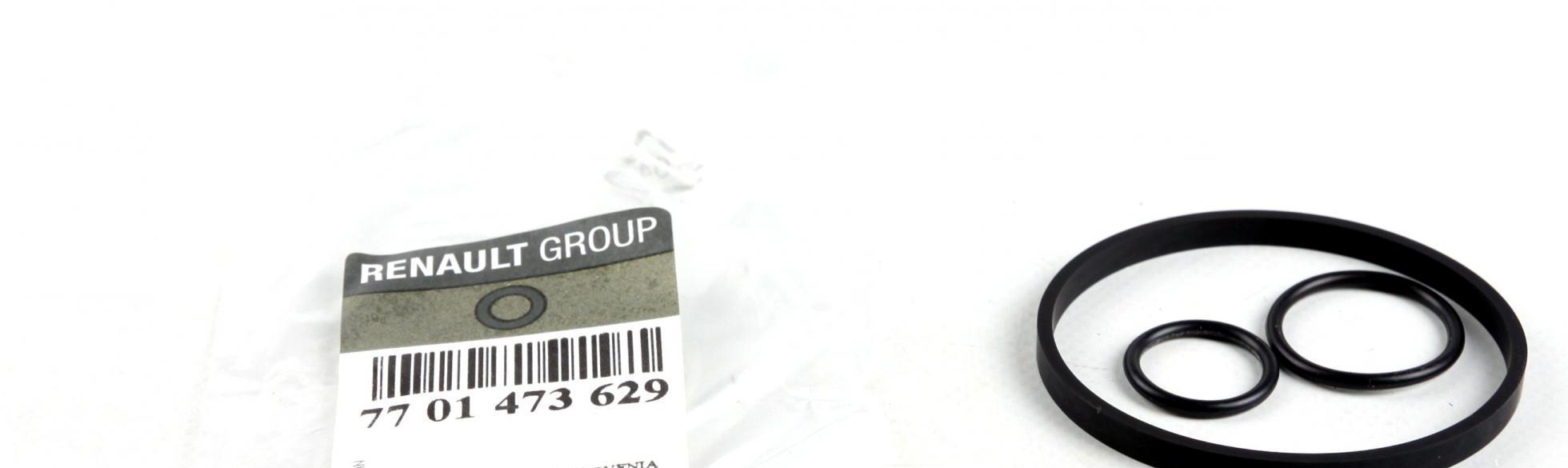 7701473629 Renault
