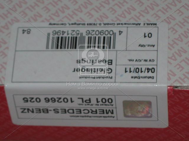 001PL10266025 MAHLE