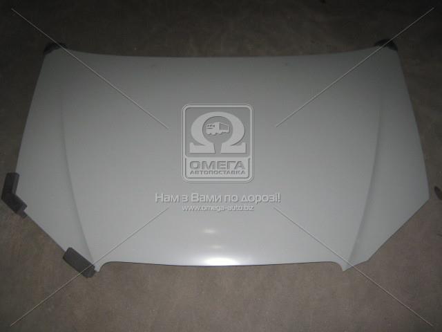 Капот byd f3 06-13 (ви-во tempest)