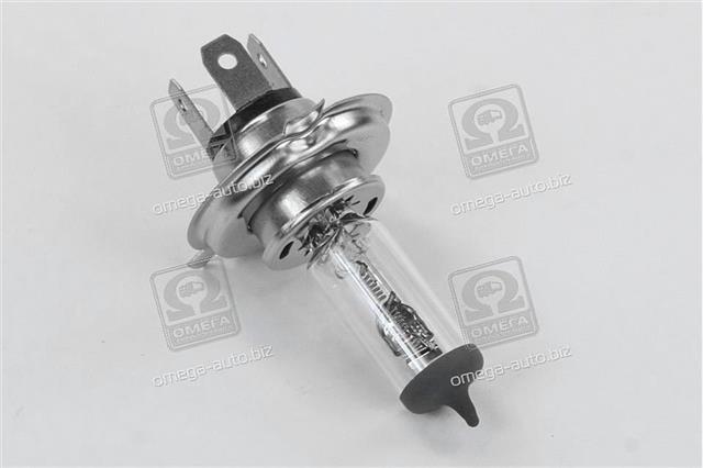 H424V10090WP43T TEMPEST