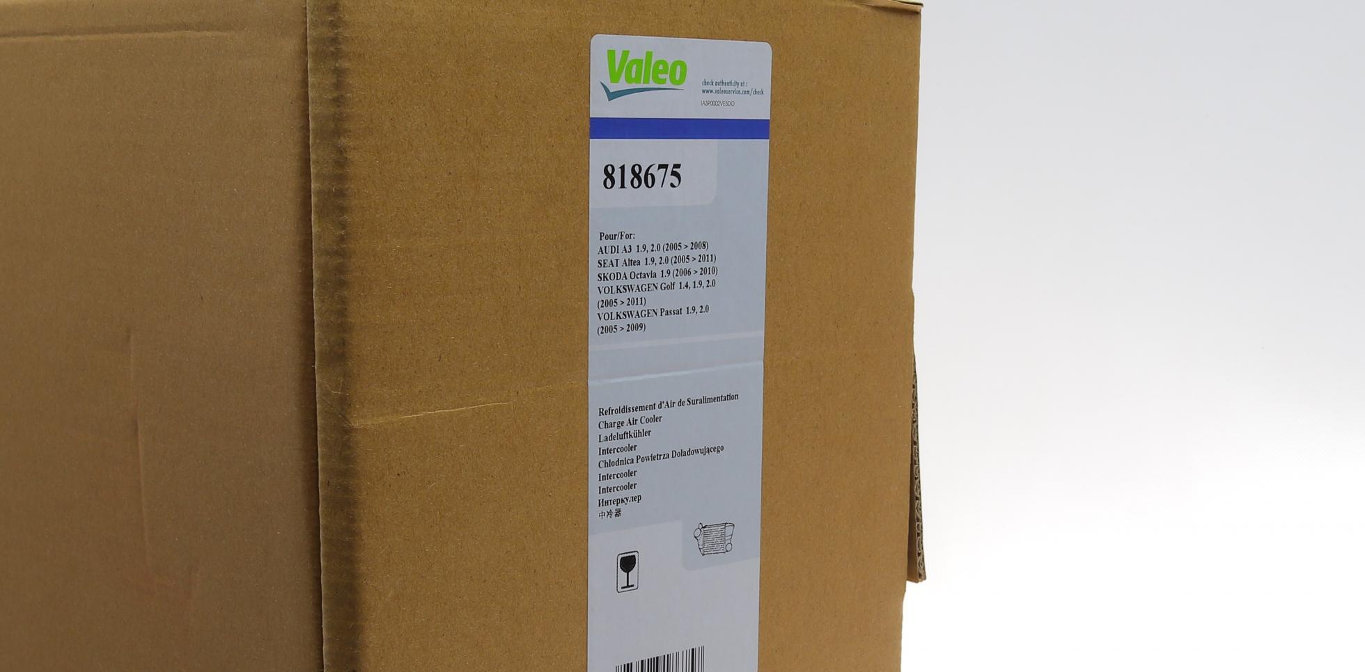 818675 VALEO